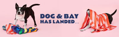 Dog & Bay has landed… 