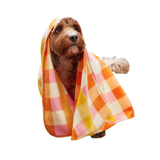 dock and bay dog towels