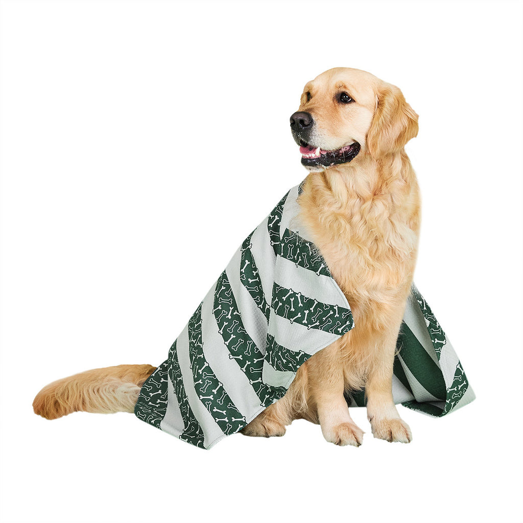 Bone dry shop dog towel