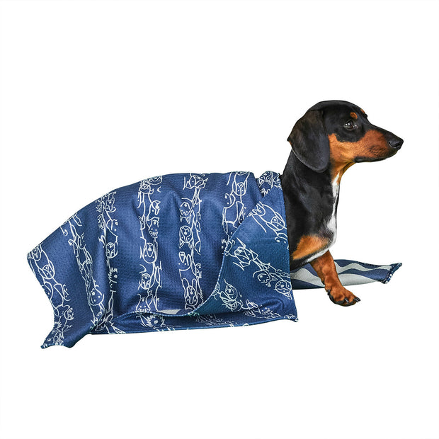 dock and bay dog towels