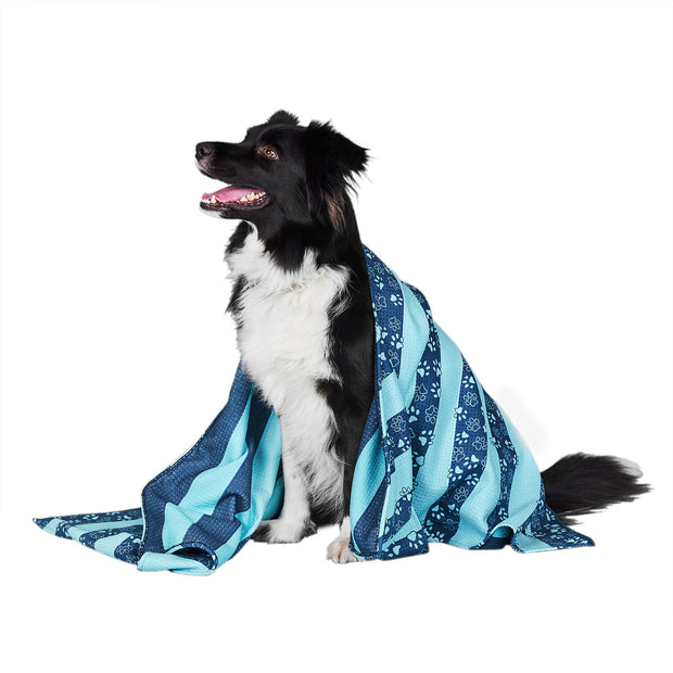 dock and bay towels dog