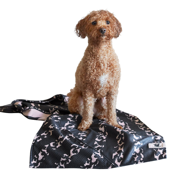 dock and bay towels dog