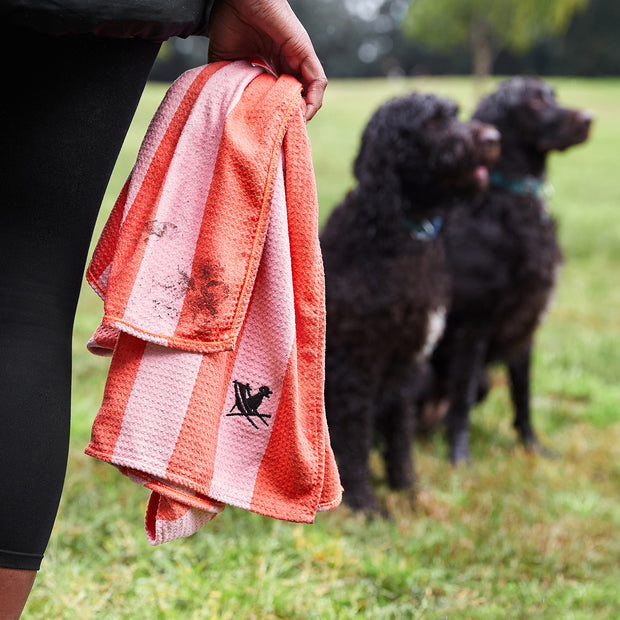 dock and bay towels dog