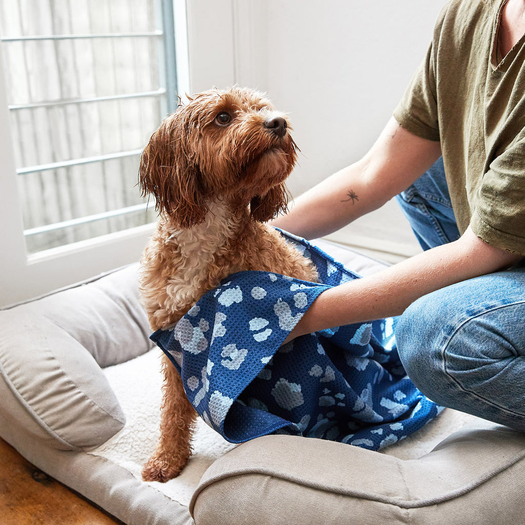 dock and bay towels dog
