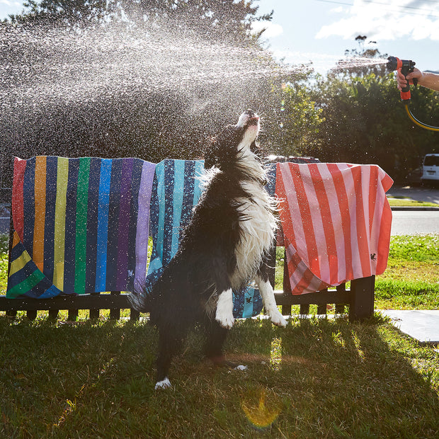 Dog & Bay - Towels for Pets - Pups with Pride - Outlet