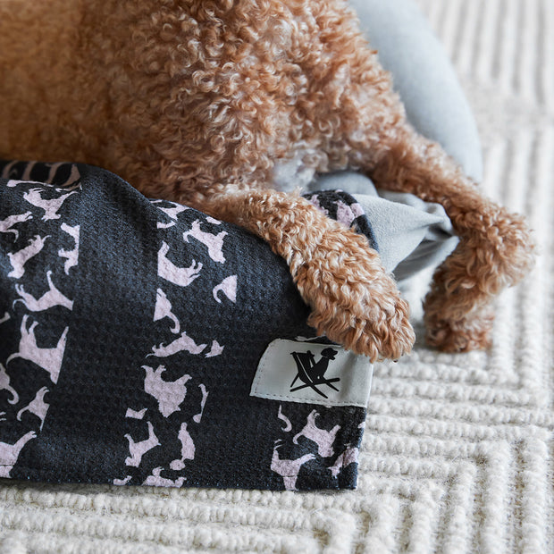 Dock & Bay Dog Towels - Woofs Go Wild