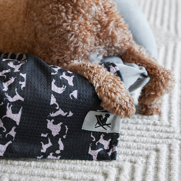 Dock & Bay Dog Towel - Go Long
