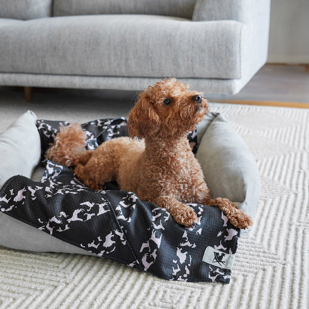dock and bay towels dog
