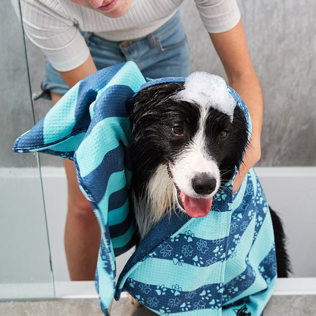 dock and bay towels dog
