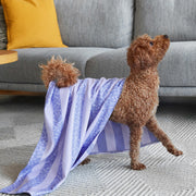 dock and bay dog towels