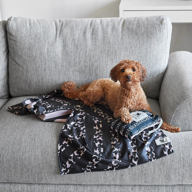 dock and bay towels dog