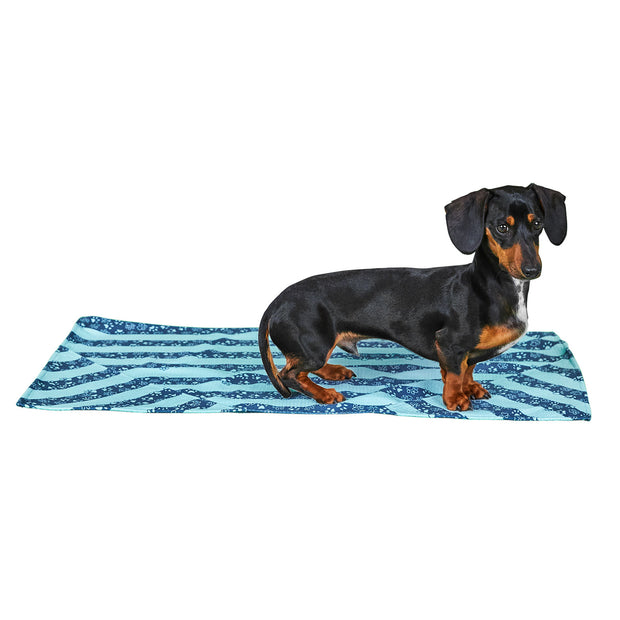 dock and bay towels dog