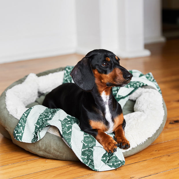 dock and bay towels dog