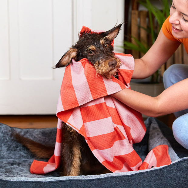 dock and bay towels dog