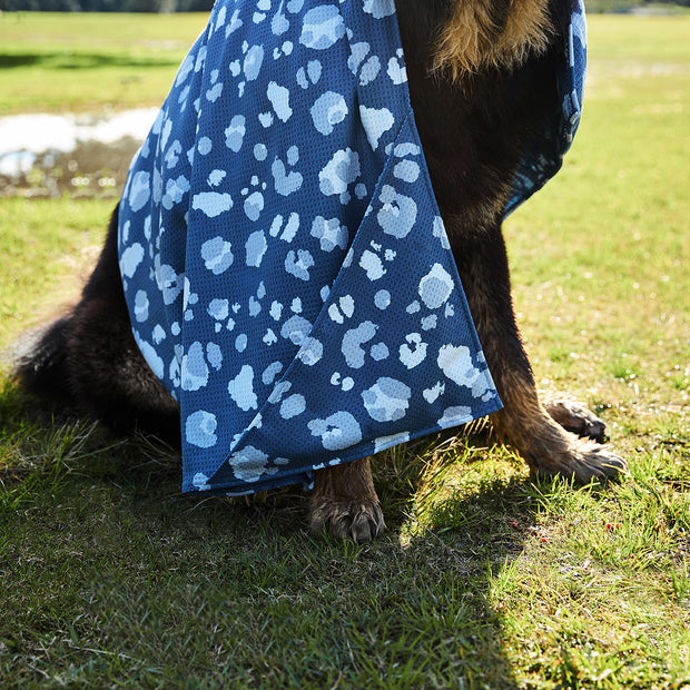 dock and bay dog towels