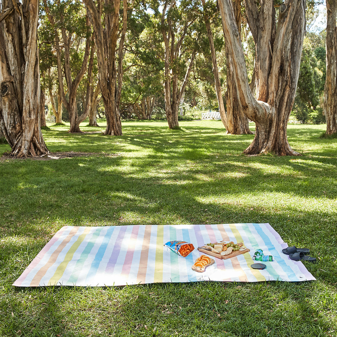 Modern picnic blanket discount
