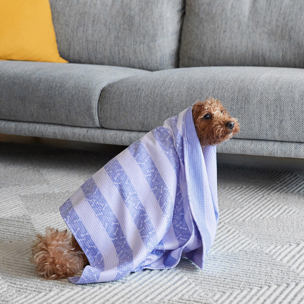 dock and bay towels dog