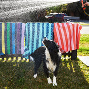 dock and bay towels dog