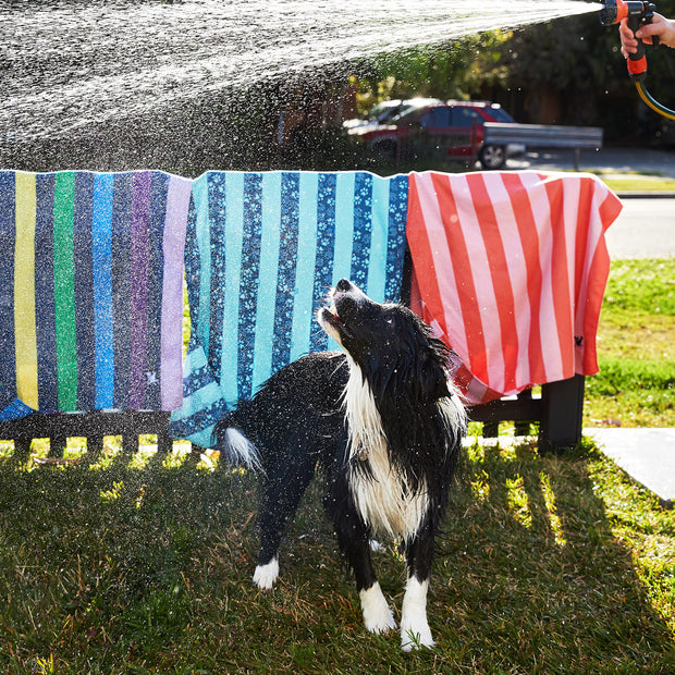 dock and bay towels dog