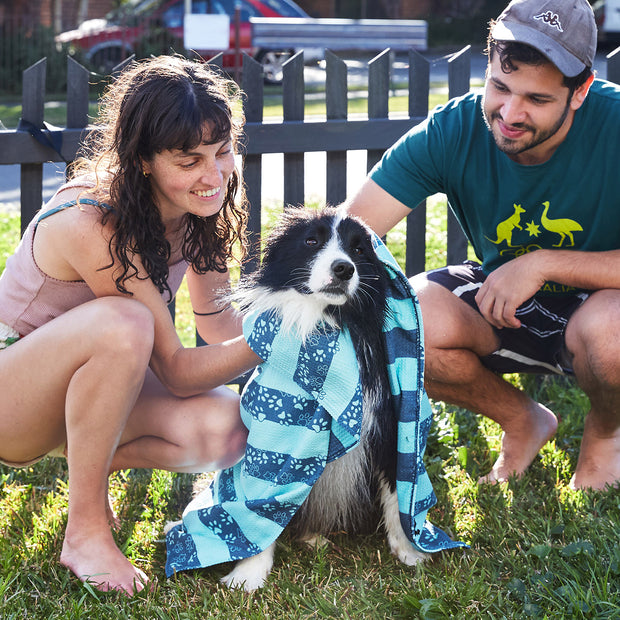dock and bay towels dog